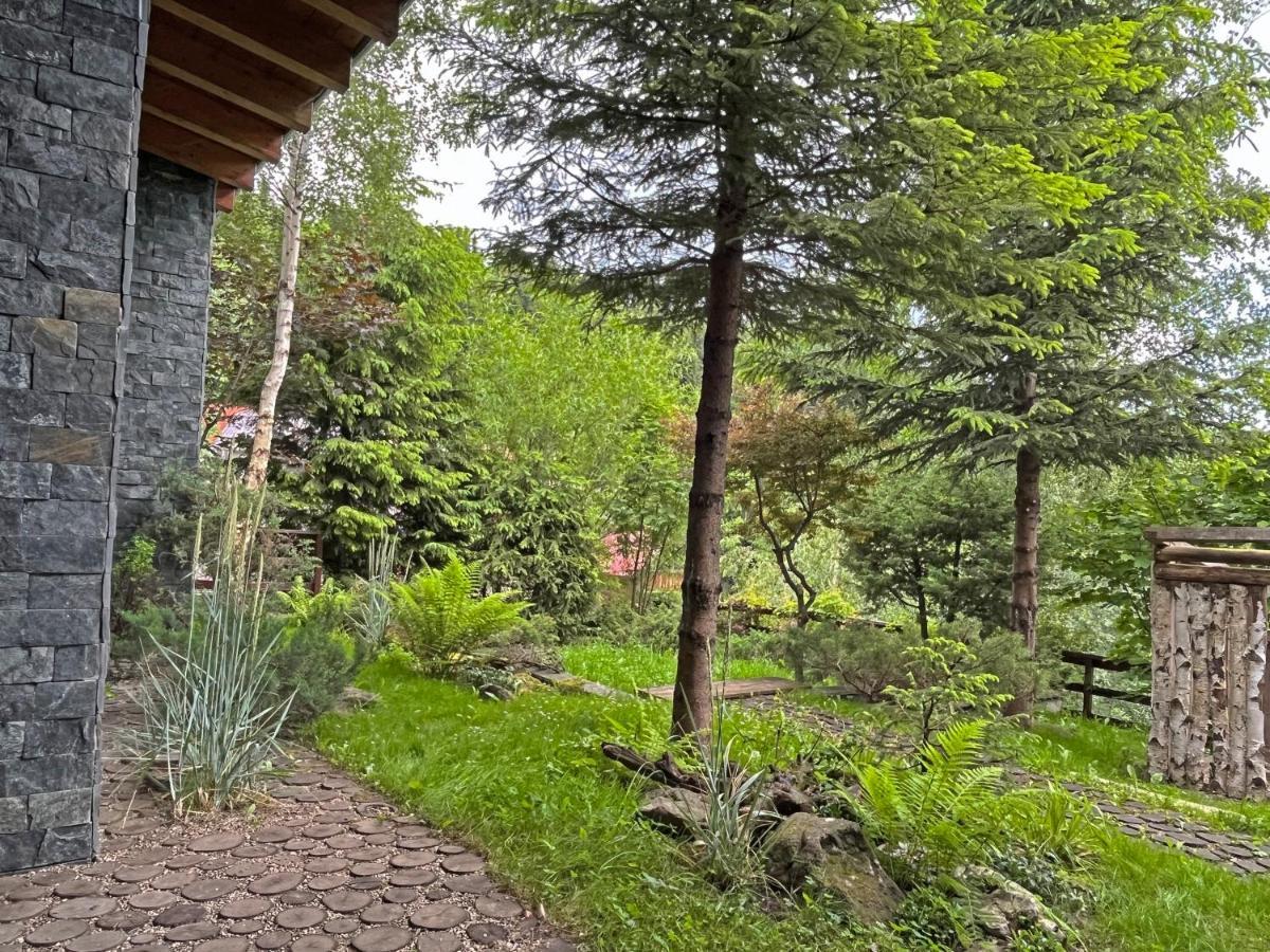 Bazalt Wellness Villa 하르기타-바이 외부 사진